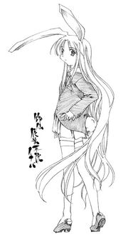 PMiSS reisen.jpg