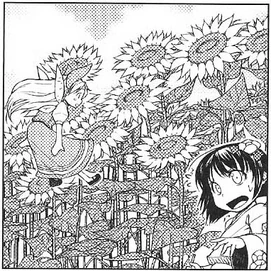 PMiSS gardenofthesuns