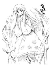PMiSSKaguya.jpg