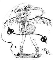 PMiSS flandre