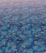 El Lago en el nivel 1 de Fairy Wars