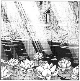 PMiSS gianttoadponds