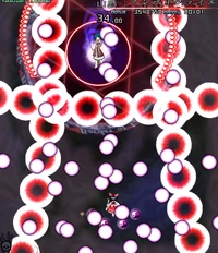 Mountain Echo "Amplify Echo"