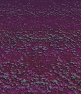 La colina en Shoot the Bullet