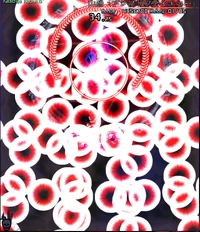 Mountain Echo "Amplify Echo"