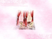 Th07SakuyaGoodEnding