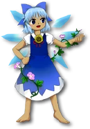 Cirno en HSiFS
