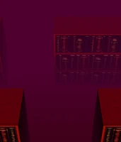 Otra foto de la librería en EoSD