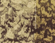 1155px-梦违科学世纪cover3