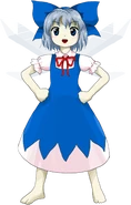 Cirno en DDC