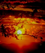 La vista de la Montaña cerca de la Base Tengu en Mountain of Faith