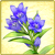 Item-Gentian