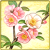 Item-JapaneseQuince