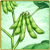 Item-Edamame