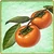 Item-Persimmon