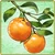 Item-SweetOrange