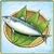 Item-Mackerel