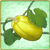 Item-OrientalMelon