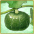 Item-Pumpkin