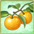 Item-HassakuOrange
