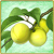 Item-Plum