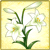 Item-LilyFlower