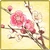 Item-PlumBlossom