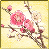 Cây trồng: Hoa Mơ