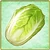 Item-NapaCabbage