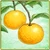 Item-SummerOrange