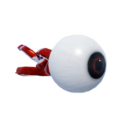 Eye 