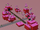 Candy Cane Lane