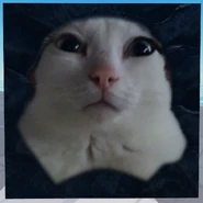 Second Corpse variant, current version, eleventh cat variant (12 March 2025 – Present)