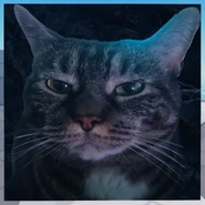 Second Corpse variant, current version, fifth cat variant (12 March 2025 – Present)