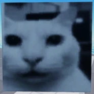 Second Corpse variant, current version, second cat variant (12 March 2025 – Present)