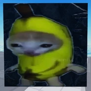 Second Corpse variant, current version, tenth cat variant (12 March 2025 – Present)