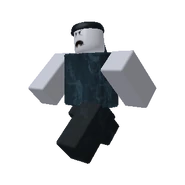 HiddenTr.png (31 KB) Second version (13 October 2019 – 29 October 2020)