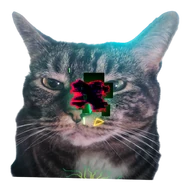 Green variant, current version, fifth cat variant (11 June 2025 – Present)