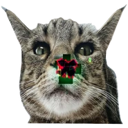 Green variant, current version, sixth cat variant (11 June 2025 – Present)