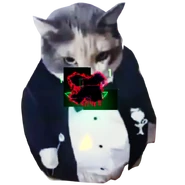 Green variant, current version, ninth cat variant (11 June 2025 – Present)