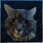 Second Corpse variant, current version, seventh cat variant (12 March 2025 – Present)