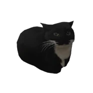 Png Bot4 on its Index icon.