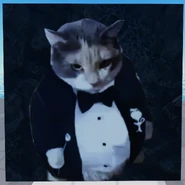 Second Corpse variant, current version, nineth cat variant (12 March 2025 – Present)