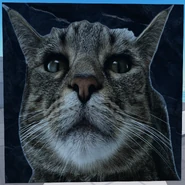 Second Corpse variant, current version, sixth cat variant (12 March 2025 – Present)