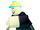 Dev
