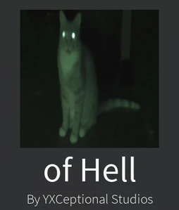 What a player would see when they were loading into the game.