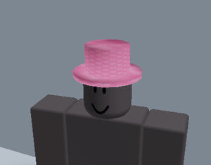 How the pink hat looks on a person.