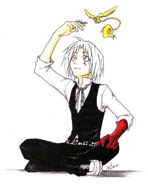 Allen Walker: destroyer of time (d. gray man), Wiki