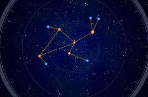 Лепус Созвездие