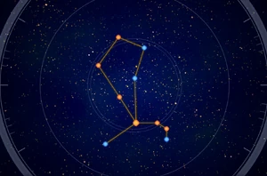 Ботится созвездие